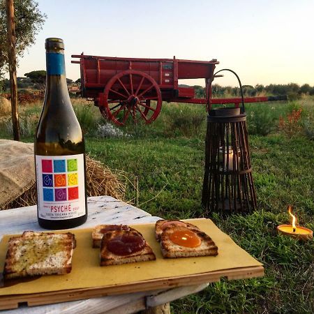 Agriturismo Quattro Pini Castagneto Carducci Zewnętrze zdjęcie