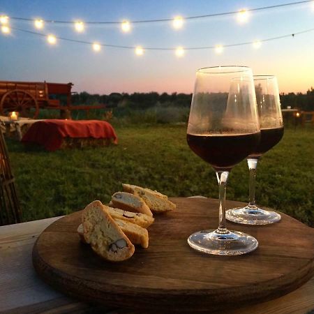 Agriturismo Quattro Pini Castagneto Carducci Zewnętrze zdjęcie