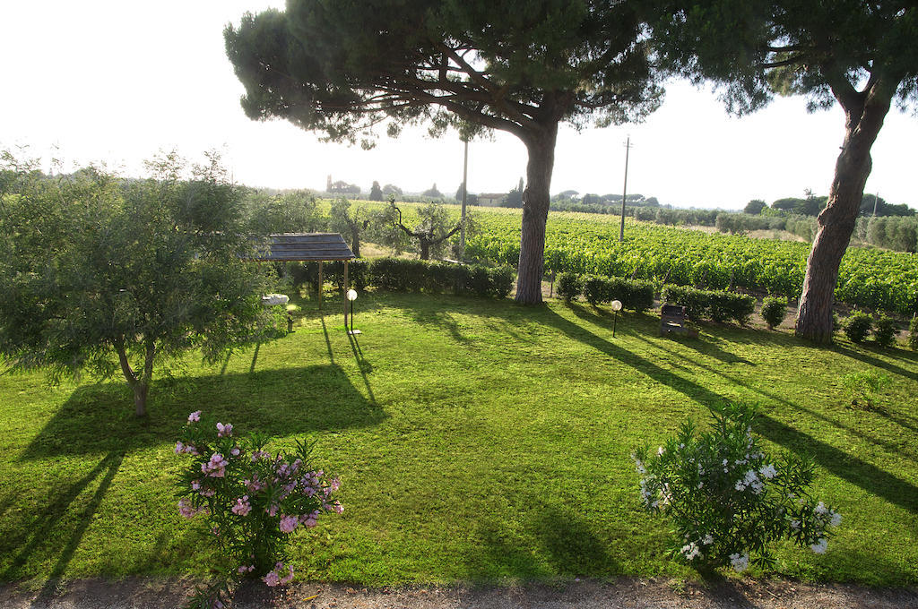 Agriturismo Quattro Pini Castagneto Carducci Pokój zdjęcie