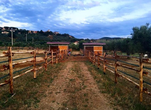 Agriturismo Quattro Pini Castagneto Carducci Zewnętrze zdjęcie